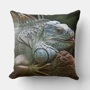 Cojín Decorativo Divertida iguana