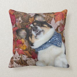 Cojín Decorativo Divertido, lindo, mirada del Corgi