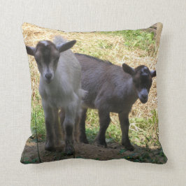 Cojín Decorativo ¡Doble Problema!