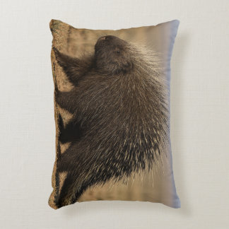 Cojín Decorativo Dog vs. Porcupine Accent Pillow