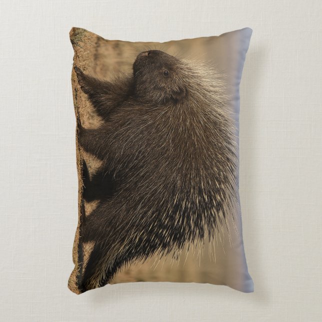 Cojín Decorativo Dog vs. Porcupine Accent Pillow (Frente (Vertical))