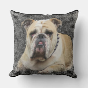 Cojín Decorativo Dogs, english bulldogge, grim looking,pillow
