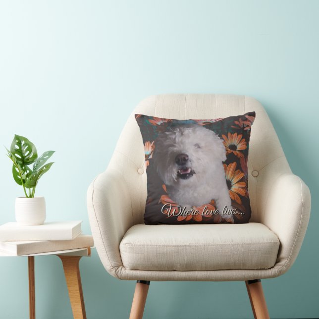 Cojín Decorativo Donde Vive el Amor  (Silla)