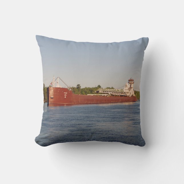 Cojín Decorativo Dorothy Ann y Pathfinder pillow (Anverso)