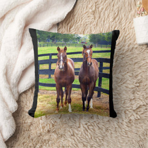 Cojín Decorativo Dos amigos