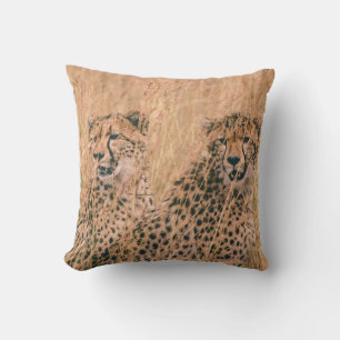 COJÍN DECORATIVO DOS CHEETAH SENTADOS EN CAMPO A LA HORA DEL DÍA