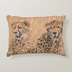 COJÍN DECORATIVO DOS CHEETAH SENTADOS EN CAMPO A LA HORA DEL DÍA