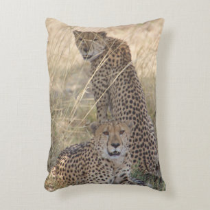 Cojín Decorativo Dos Cheetahs Pillow