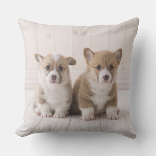 Cojín Decorativo Dos Corgi Gales Sentados (Anverso)