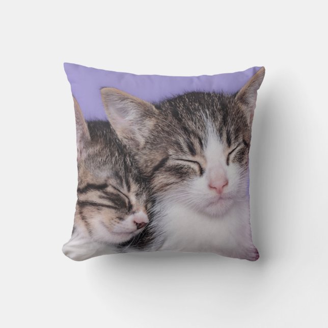 Cojín Decorativo Dos gatitos lindos Napping (Anverso)