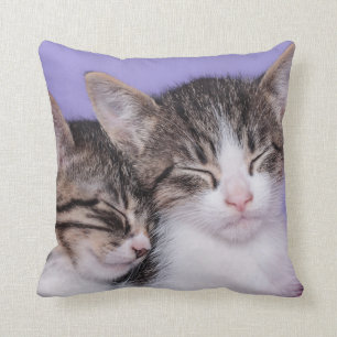 Cojín Decorativo Dos gatitos lindos Napping