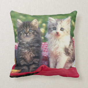 Cojín Decorativo Dos gatitos que se sientan en una manta