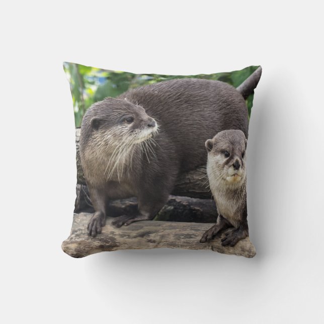 Cojín Decorativo Dos nutria linda de las nutrias | (Anverso)