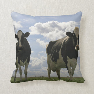 Cojín Decorativo Dos vacas frisias