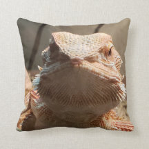 Dragon Lizard