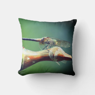 Cojín Decorativo Dragonfly Co Pilot Insect