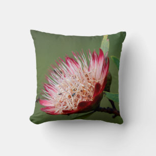 Cojín Decorativo Drakensberg Sugarbush (Protea Dracomontana)