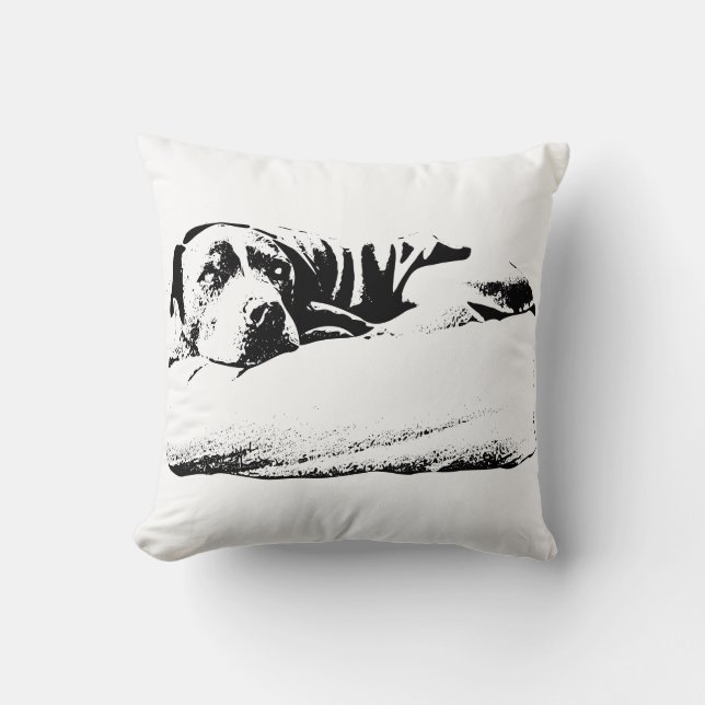 Cojín Decorativo Dreamer de Hearth (Anverso)