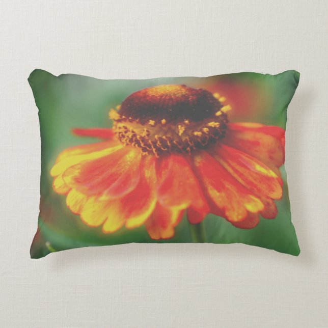 Cojín Decorativo Dreamy Zinnia Flower (Anverso)