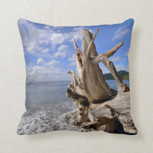 Cojín Decorativo Driftwood en la línea de la playa de la playa