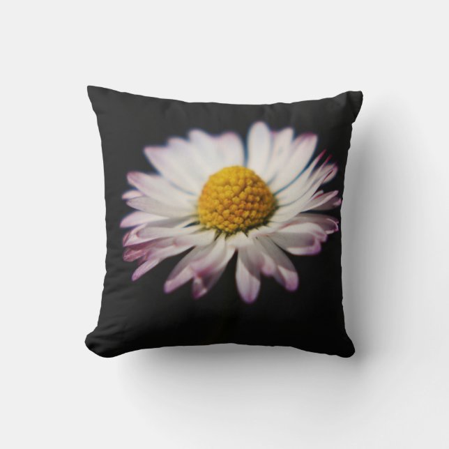 Cojín Decorativo DS Sunflower o Daisy tpcnm (Anverso)