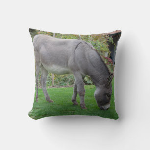 Cojín Decorativo Dulce Burro En El Jardín