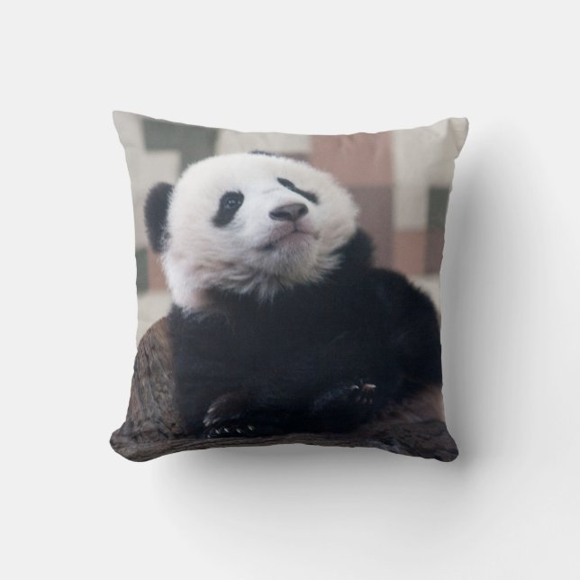 Cojín Decorativo Dulce Giant Panda Baby (Anverso)