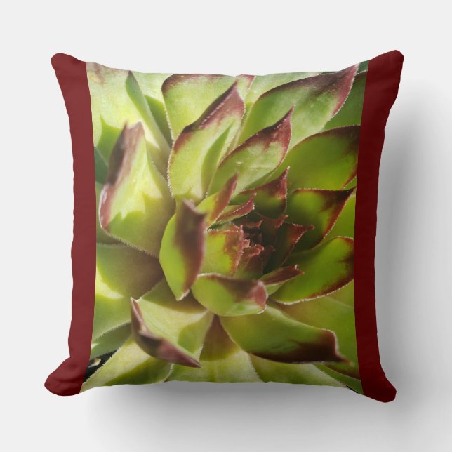 Cojín Decorativo Echeveria Agevita Pillow (Anverso)