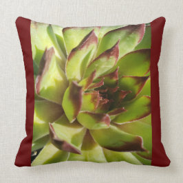 Cojín Decorativo Echeveria Agevita Pillow