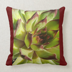 Cojín Decorativo Echeveria Agevita Pillow