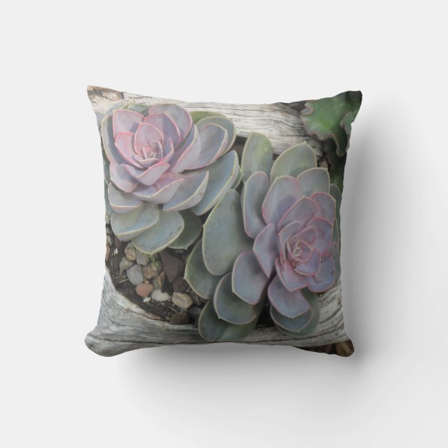 Cojín Decorativo Echeveria Pillow (Anverso)