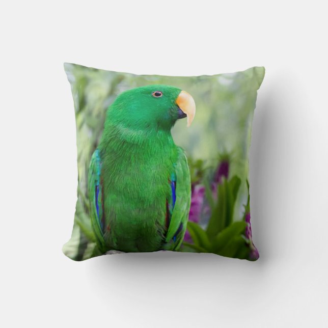 Cojín Decorativo Eclectus Parrot Male (Anverso)