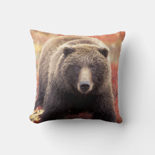 Cojín Decorativo EE. UU., Alaska, Parque Nacional Denali, osa grizz