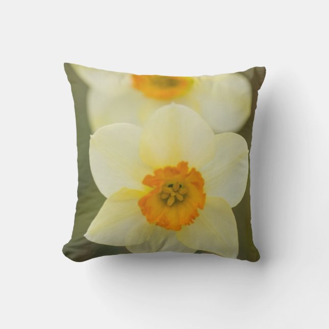 Cojín Decorativo EE.UU., Arlington, Virginia, clausura de blancos (Anverso)