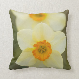 Cojín Decorativo EE.UU., Arlington, Virginia, clausura de blancos