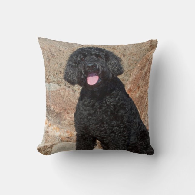 Cojín Decorativo EE. UU., California. Labradoodle sentado (Anverso)