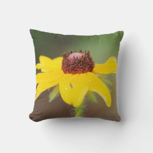 Cojín Decorativo EE. UU., Colorado, Boulder. Girasol primer plano