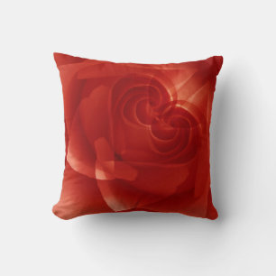 Cojín Decorativo EE. UU., Colorado, Lafayette. Montaje de rosa roja