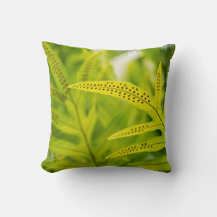Cojín Decorativo EE. UU., Hawái, Isla Grande. Helecho verde tropica