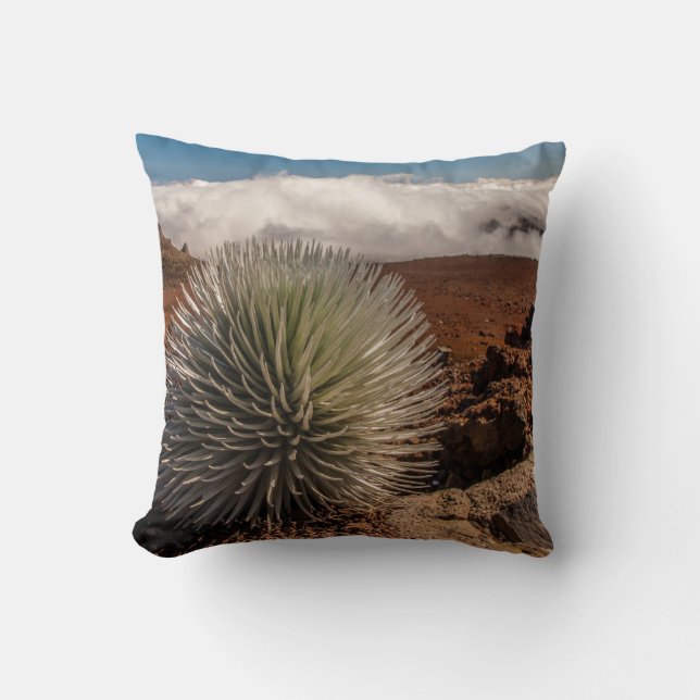 Cojín Decorativo EE.UU., Hawaii, Maui, Parque Nacional Haleakala (Anverso)
