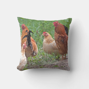Cojín Decorativo EE. UU., Nebraska. Gallinas