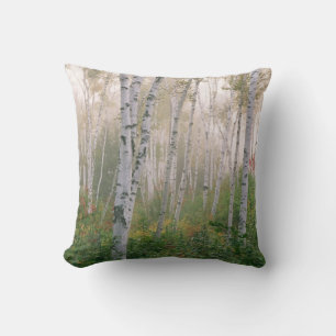 Cojín Decorativo EE.UU., New Hampshire. Árboles de pájaros limpia