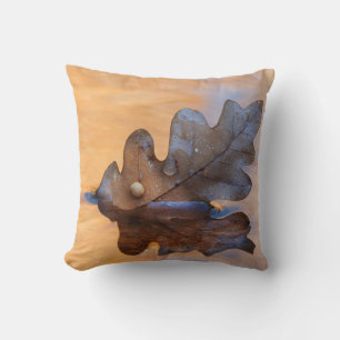 Cojín Decorativo EE. UU., Nuevo México. Hoja de roble en arroyo