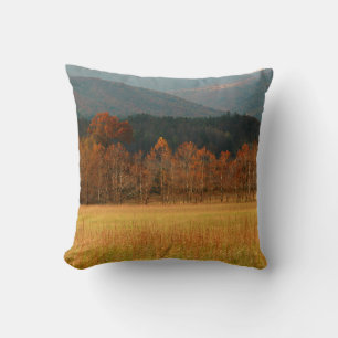 Cojín Decorativo EE. UU., Tennessee. Cades Cove en Smoky Mountain