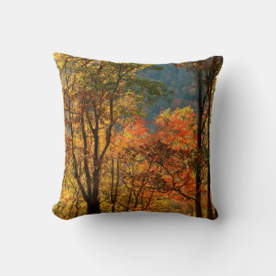 Cojín Decorativo EE. UU., Tennessee. Follaje de otoño