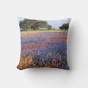 Cojín Decorativo EE. UU., Texas, Llano. Bluebonnets y redbonnets