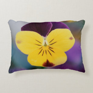 Cojín Decorativo EE. UU., Utah, Primer plano de Viola tricolor en j