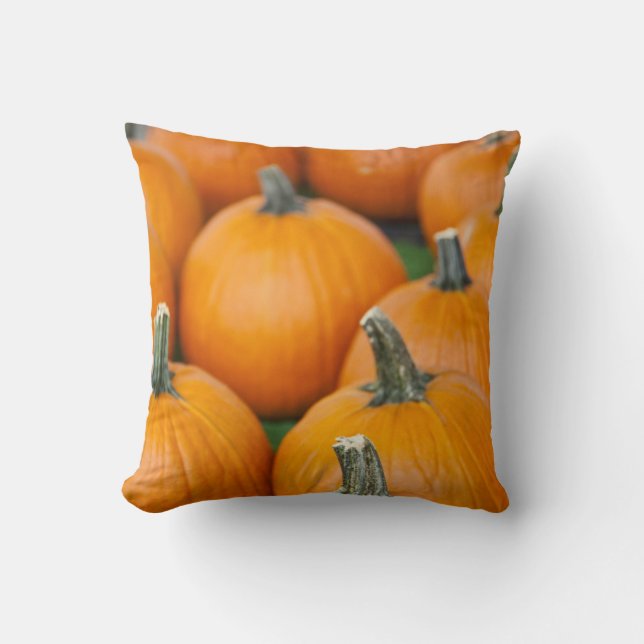 Cojín Decorativo EE.UU., Virginia Occidental, Charleston. Capitolio (Anverso)