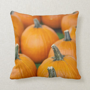 Cojín Decorativo EE.UU., Virginia Occidental, Charleston. Capitolio