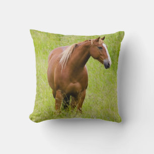 Cojín Decorativo EE. UU., Washington, Caballo en Campo de Primavera